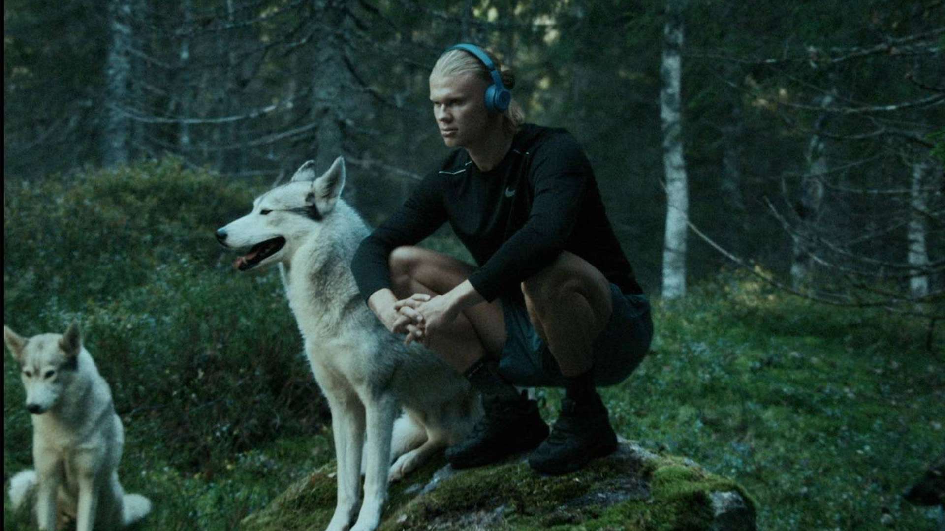 的表态也让 的表态也让