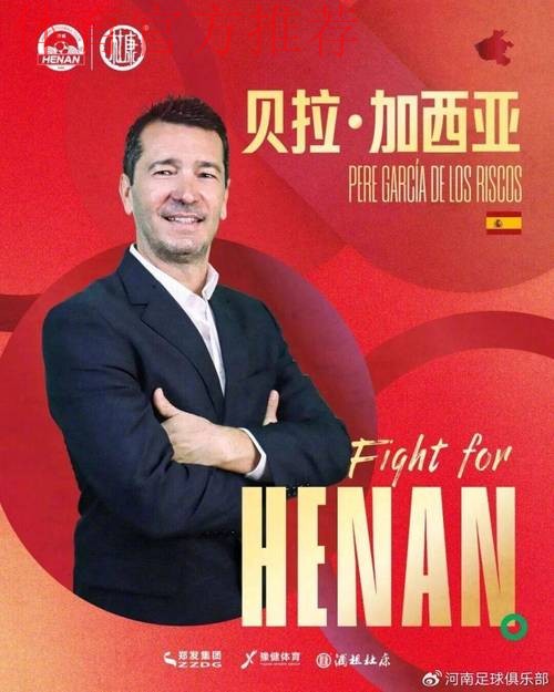 河南队2025：用汗水与血性，书写一段逆境重生传奇